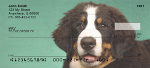 Bernese Checks Order Bernese Checks