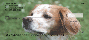 Brittany Spaniel Checks Order Brittany Spaniel Checks
