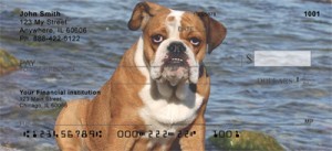 Bulldog Checks Order Bulldog Checks