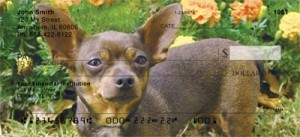 Chihuahua Checks Order Chihuahua Checks