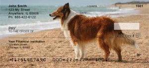 Collie Checks Order Collie Checks