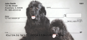 Newfoundland Checks Order Newfoundland Checks
