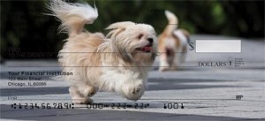 Shih Tzu Checks Order Shih Tzu Checks