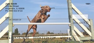 Weimaraner Checks Order Weimaraner Checks