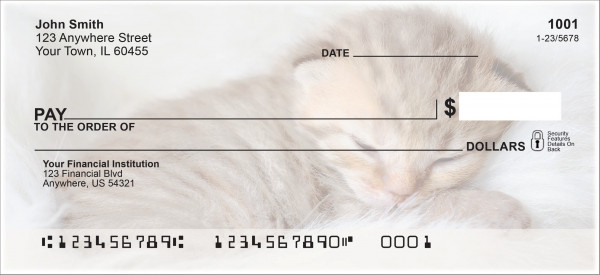 Cat Sleeping Bank Checks