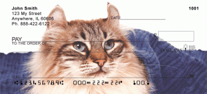 American Curl Cat Checks Order American Curl Cat Checks