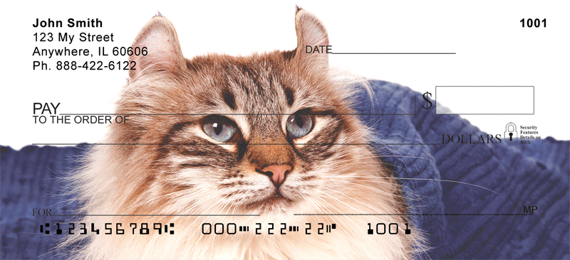 American Curl Cat Checks Order American Curl Cat Checks