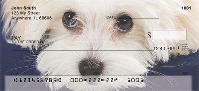 Order Bichon Frise Checks