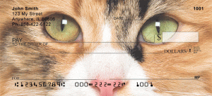 Calico Cat Checks Order Calico Cat Checks