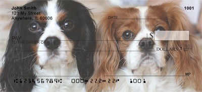 Cavalier King Charles Dogs Checks Order Cavalier King Charles Dogs Checks