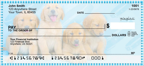 Golden Retriever Pups