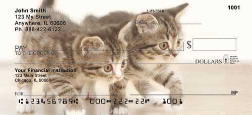 Order Kitten Checks