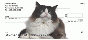 Ragdoll Cat Checks Order Ragdoll Cat Checks