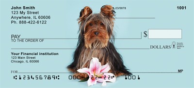 order yorkie checks
