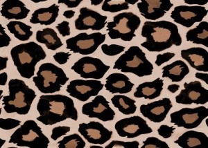 order leopard print checks