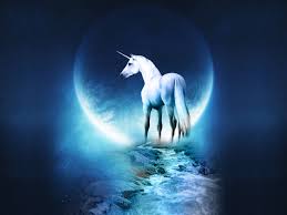 order unicorn checks