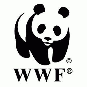 wwf checks